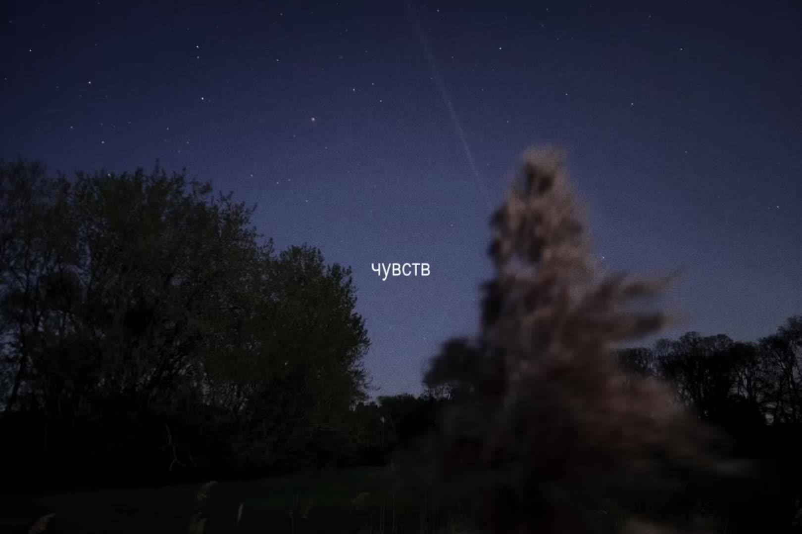 @нейроночка
