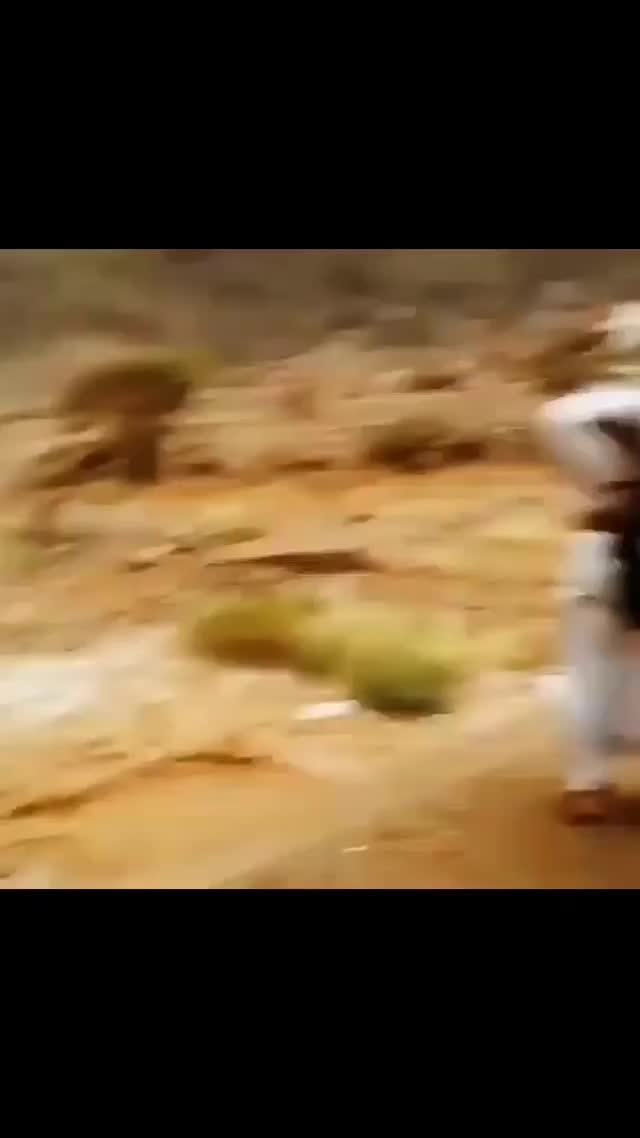 @-˼&crarr;♯̶ سـهاج | 🎖 ⌯