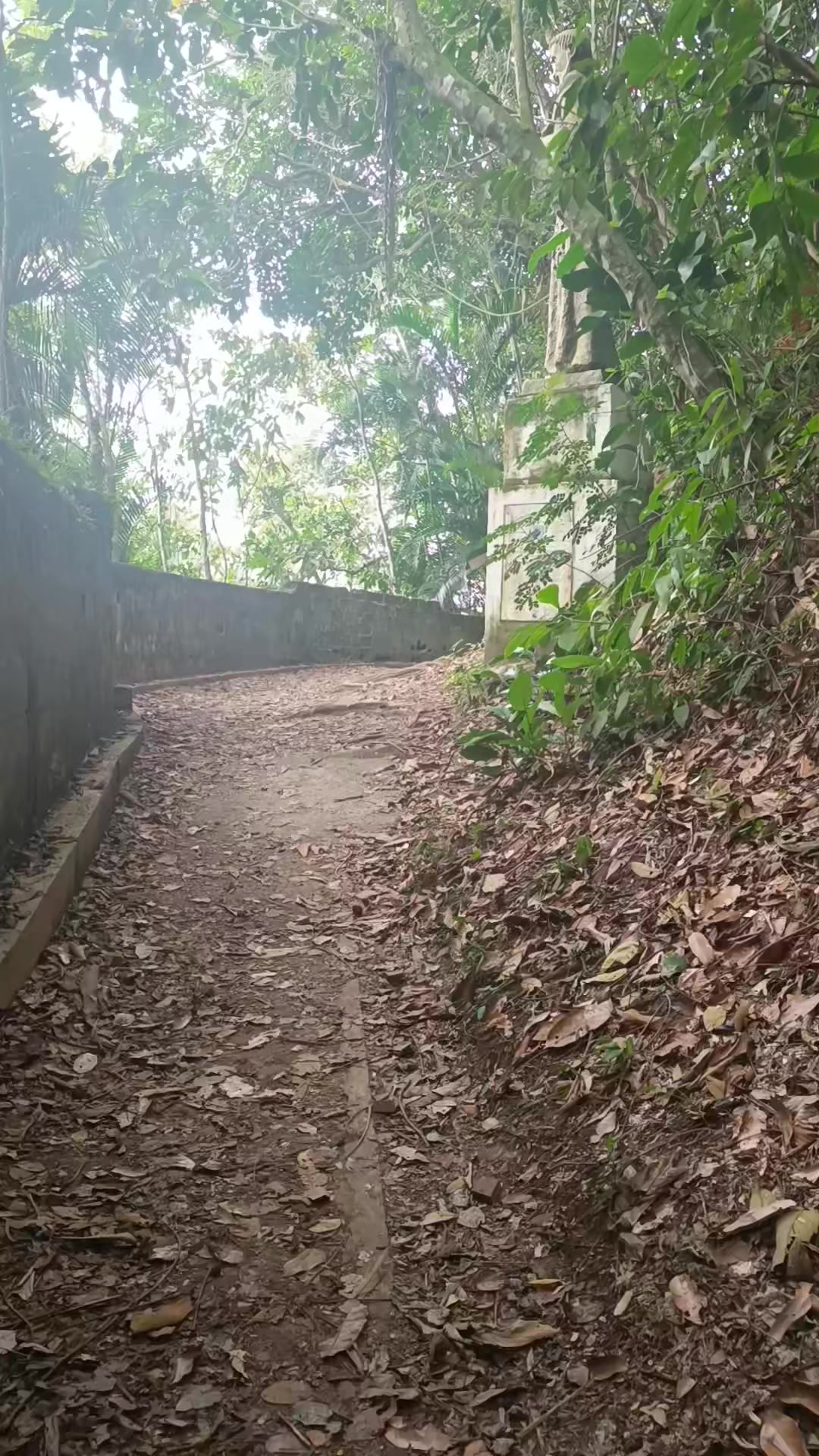 @@ T&aacute; sabendo Itanha&eacute;m?