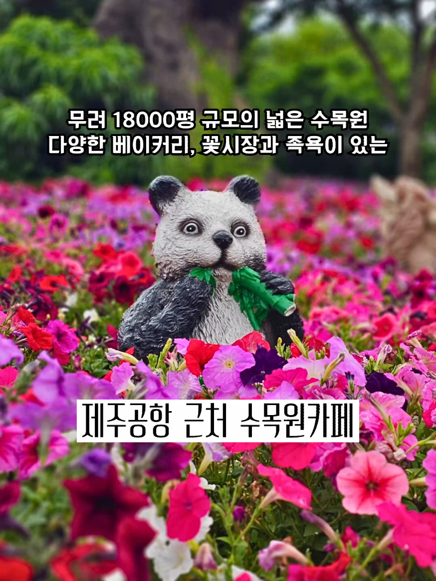 @광주맛집주노