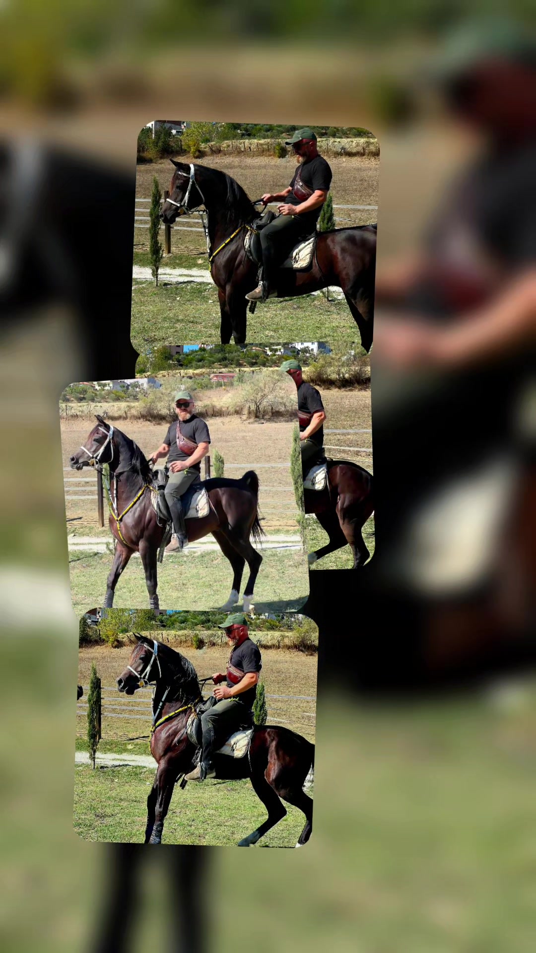 @Horse Training Center Albania