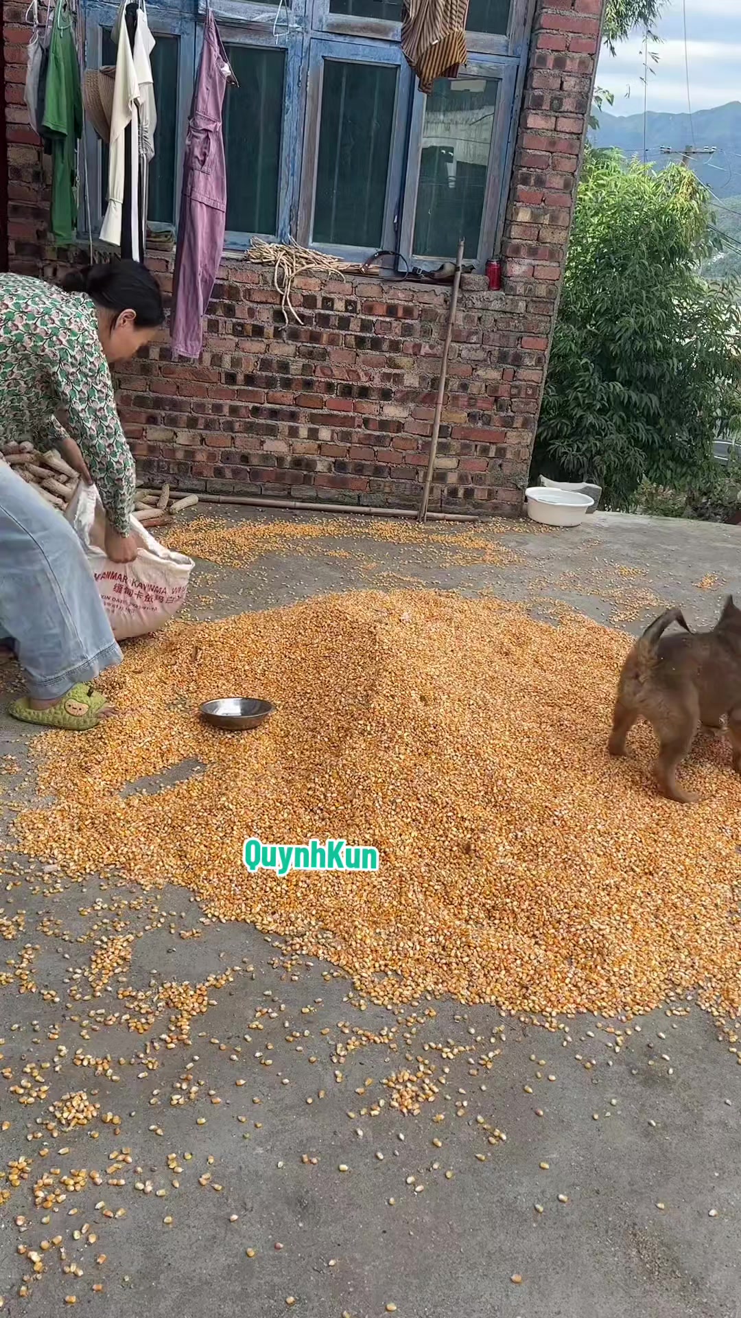 @QuynhKun