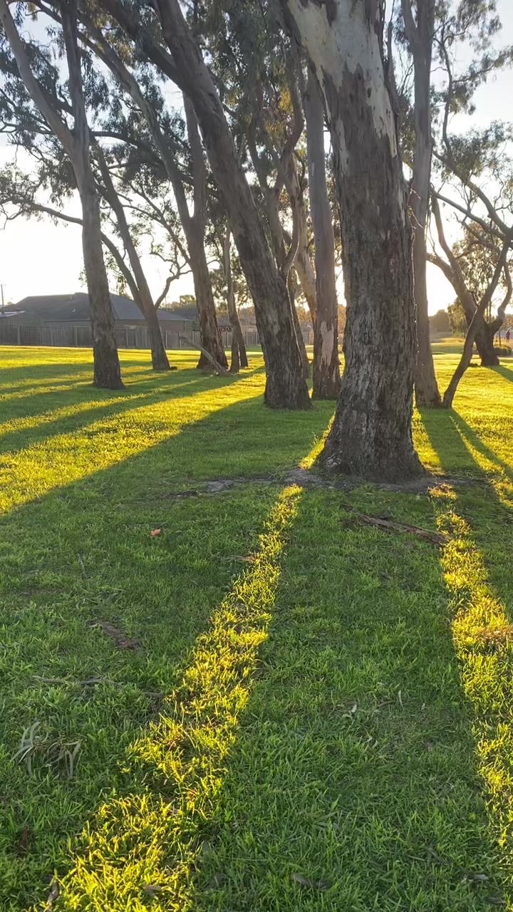 @🇰🇷🇨🇳🇦🇺AR3DN🇦🇺🇨🇳🇰🇷