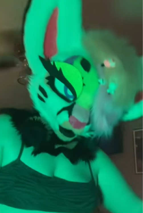 @Liger~Liger🐾🍉