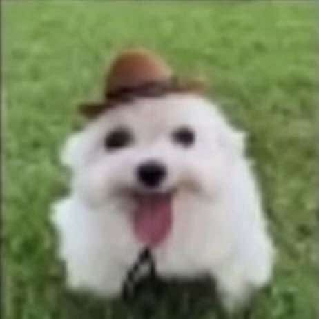@꒰ঌ ໒꒱