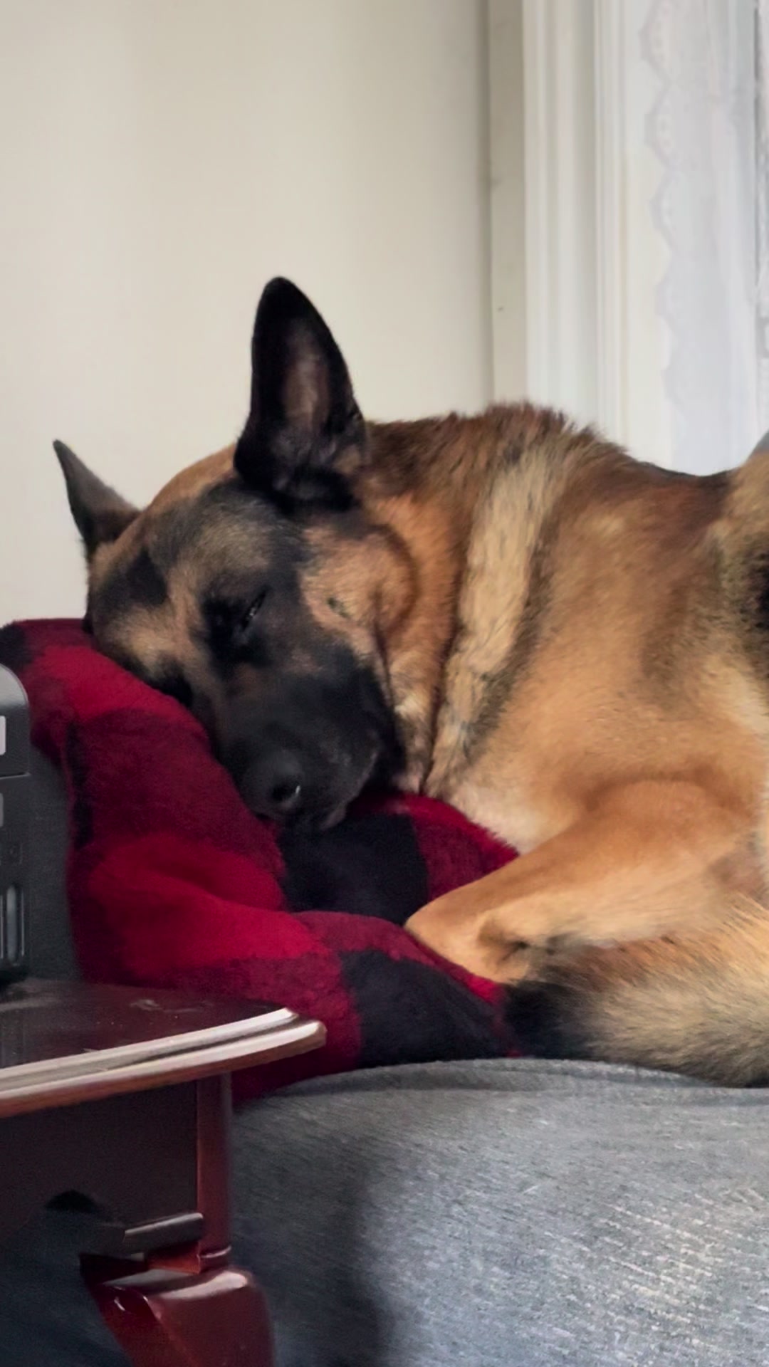 @Martygsd