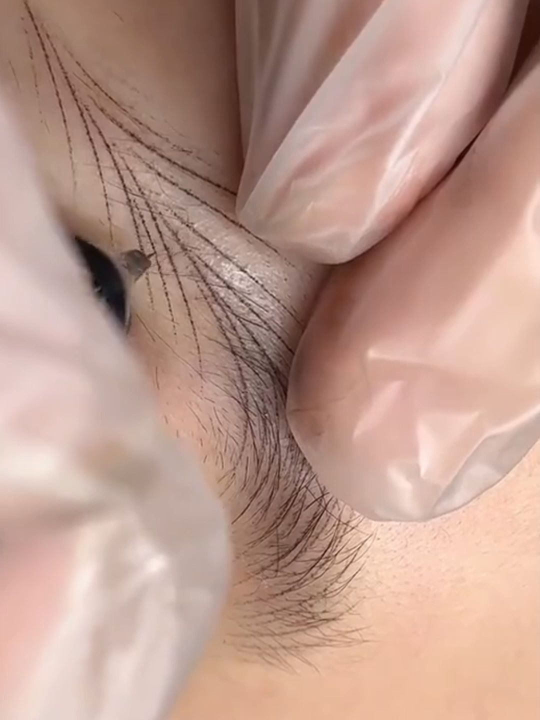 @CharmingTattooFactory