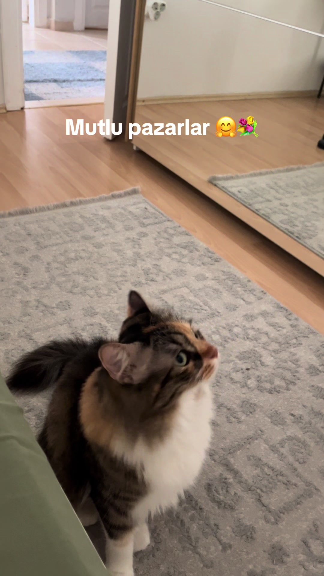 @konusankediminnos