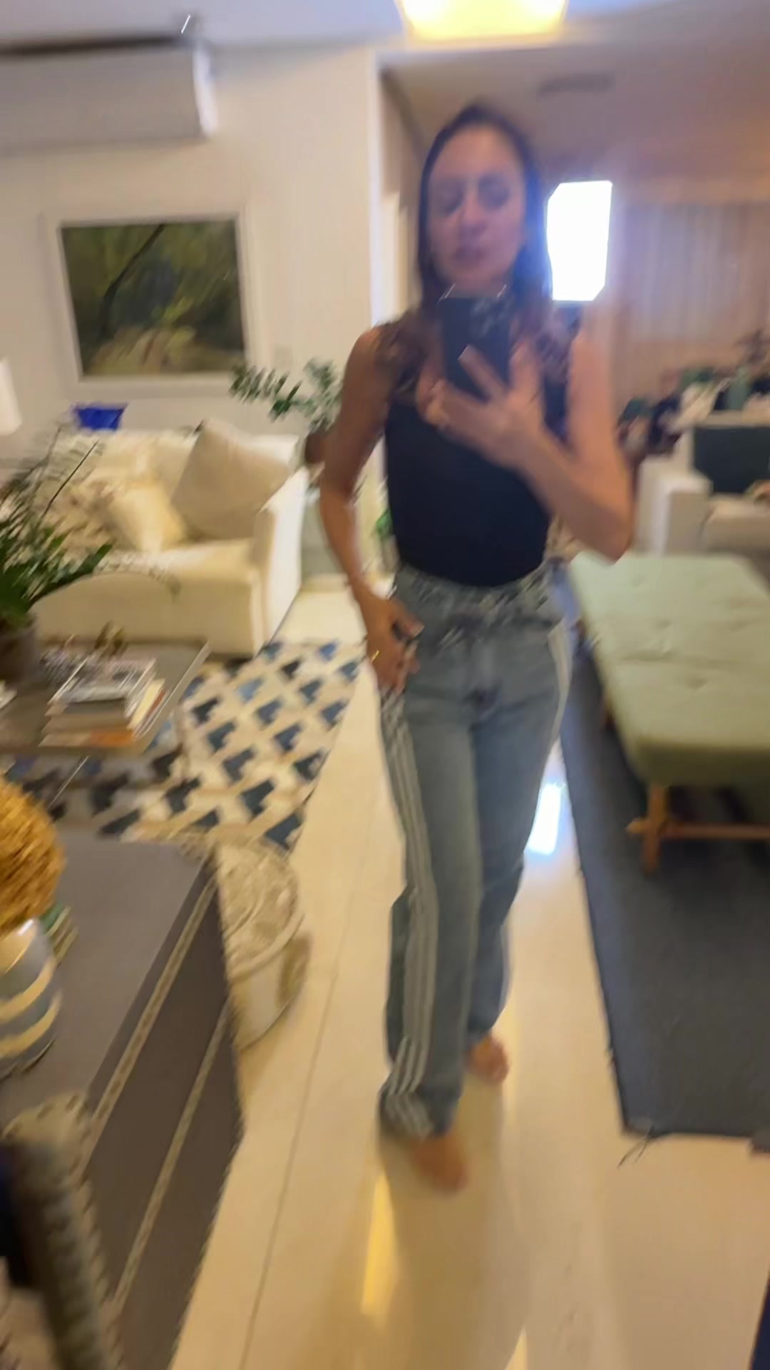 @família pimentel