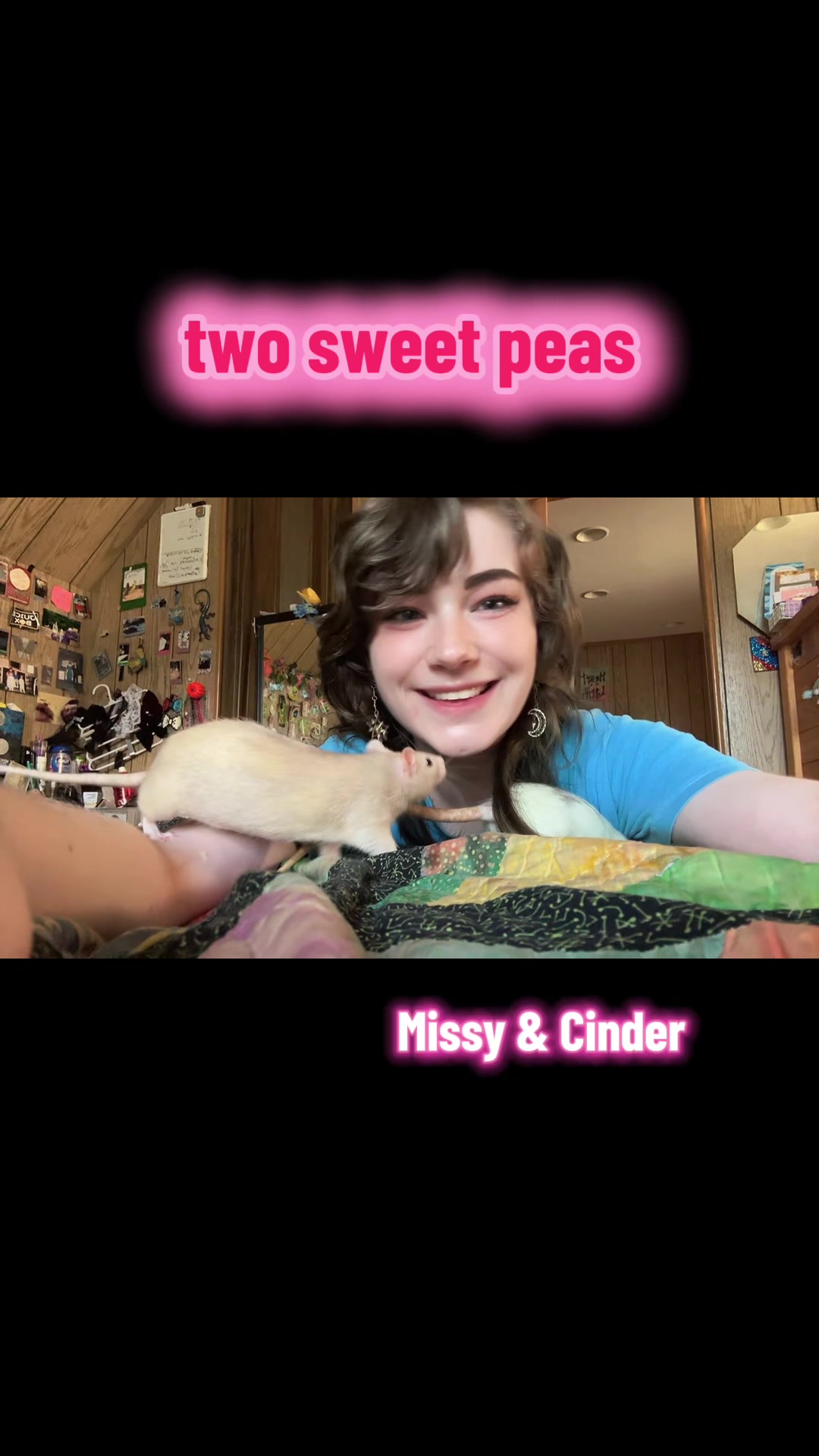 @lookatmyrodents