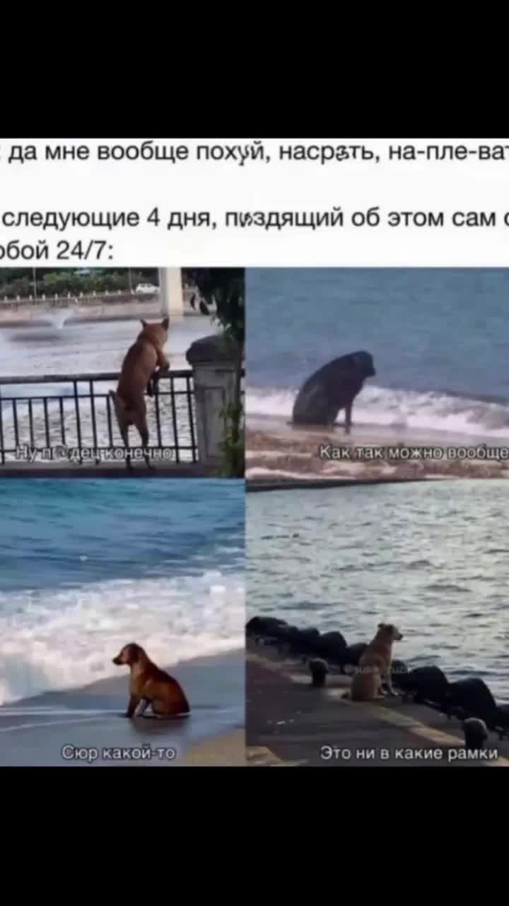@Виктория Чеверикина