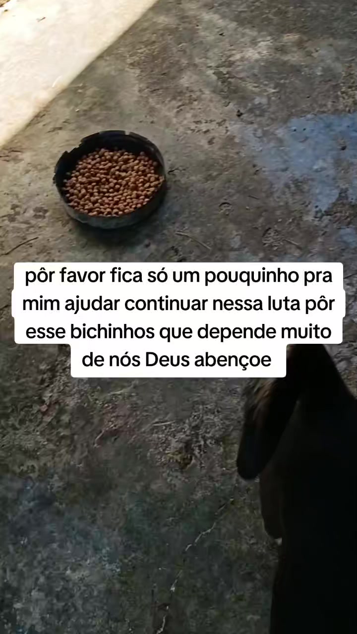 @Benedito Vanderlei cavalheiro