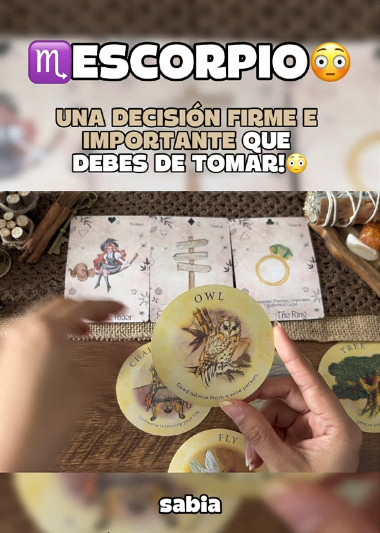 @Andy Sun Tarot ☀️
