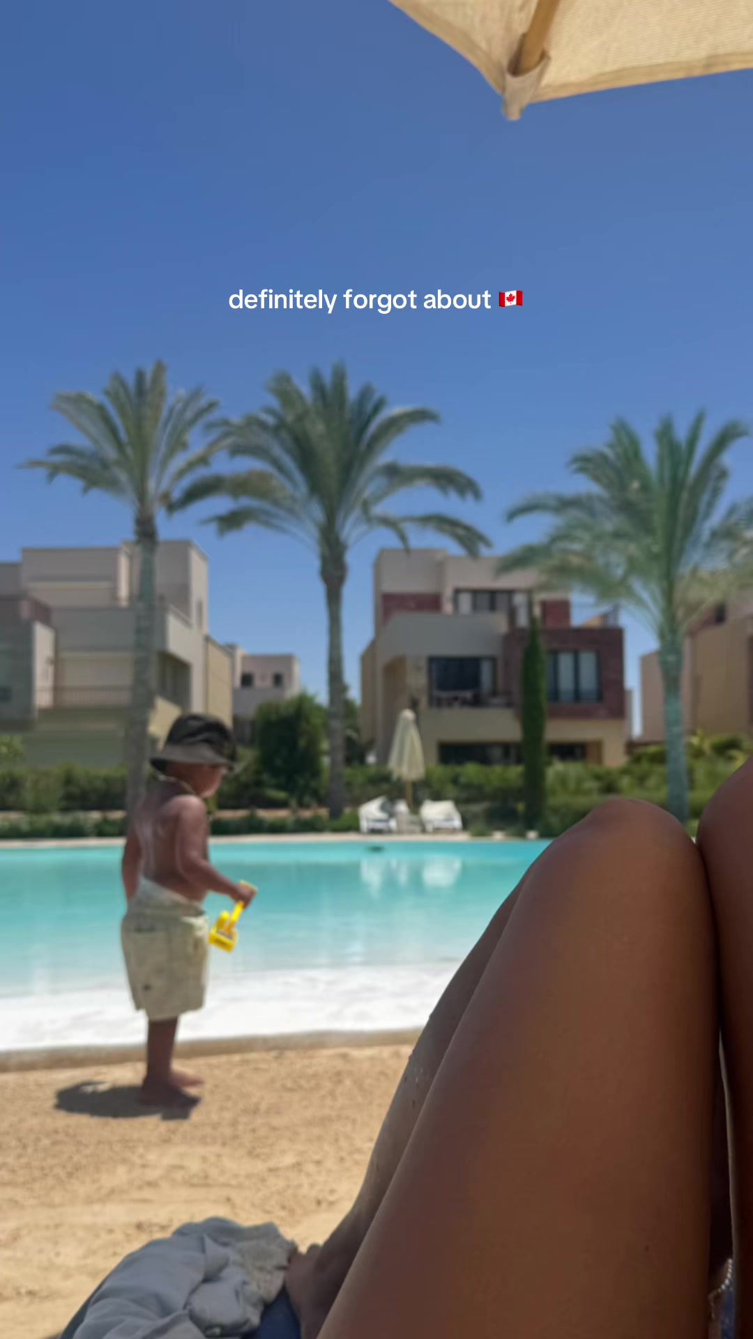 @Nour ElGhamry