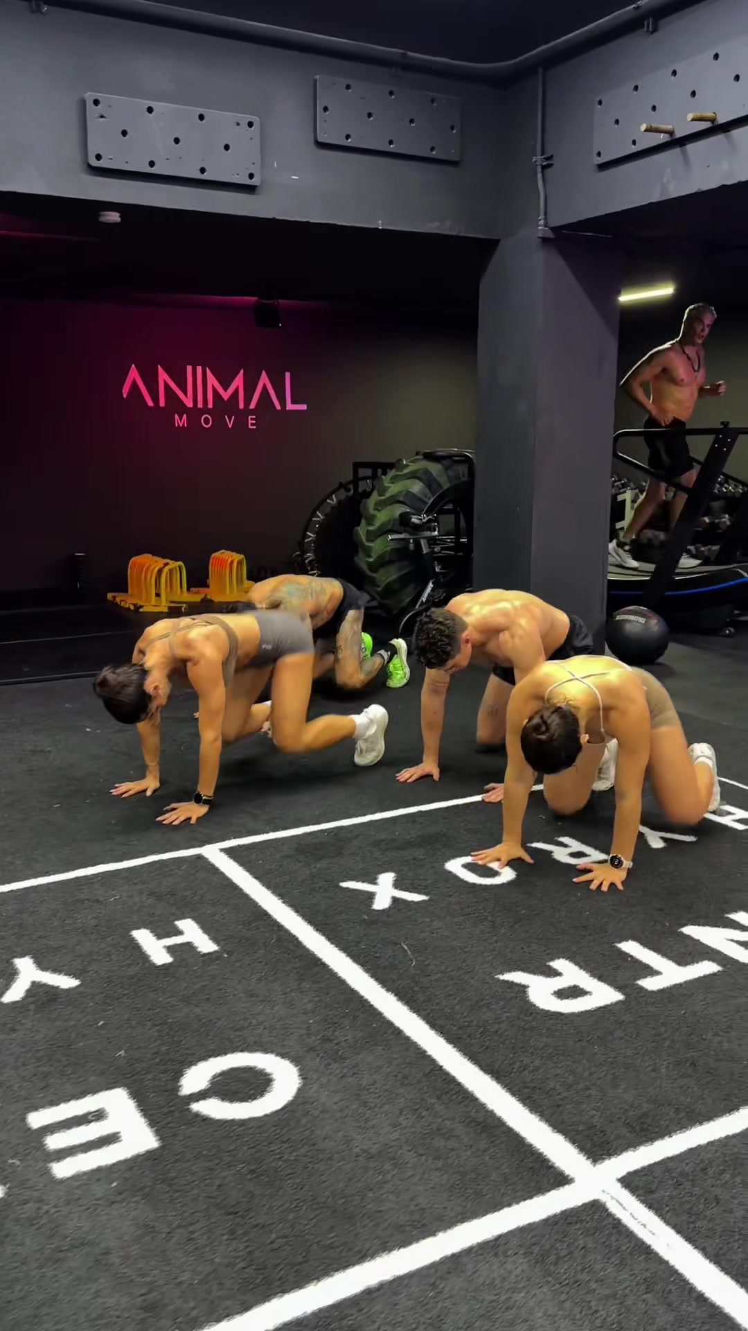 @ANIMAL MOVE