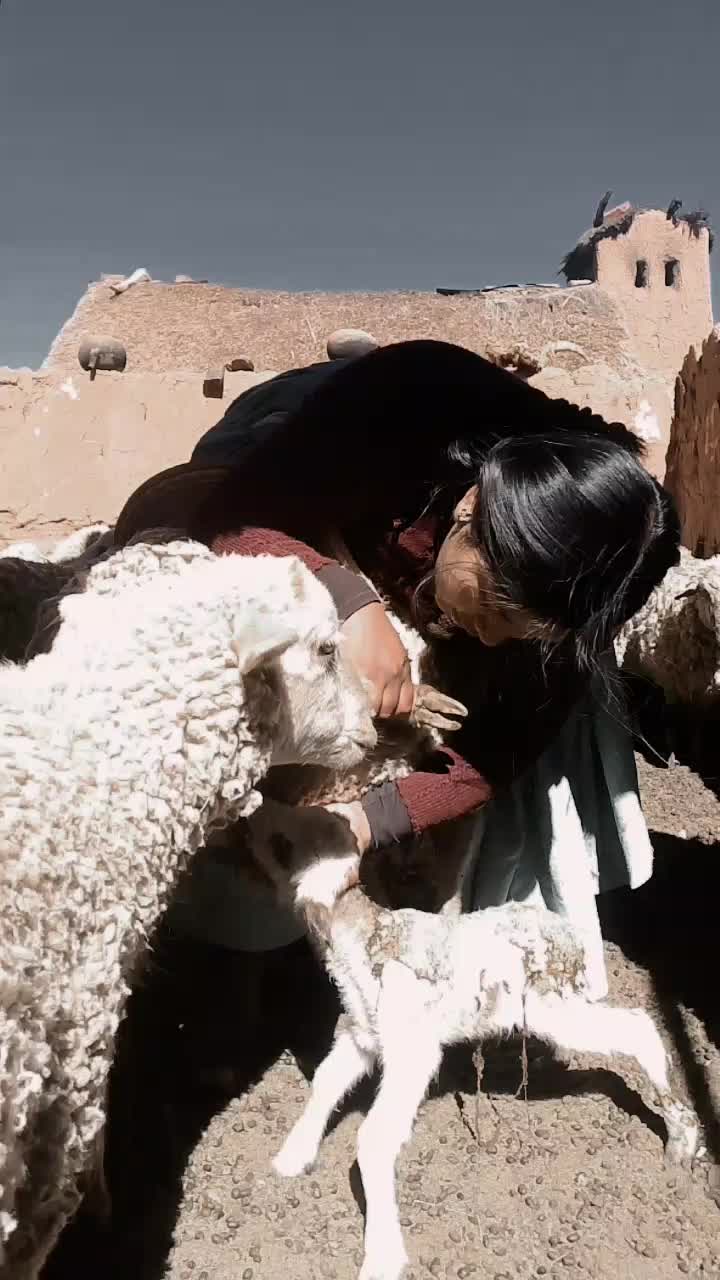 @🐑rEyNyS🐑