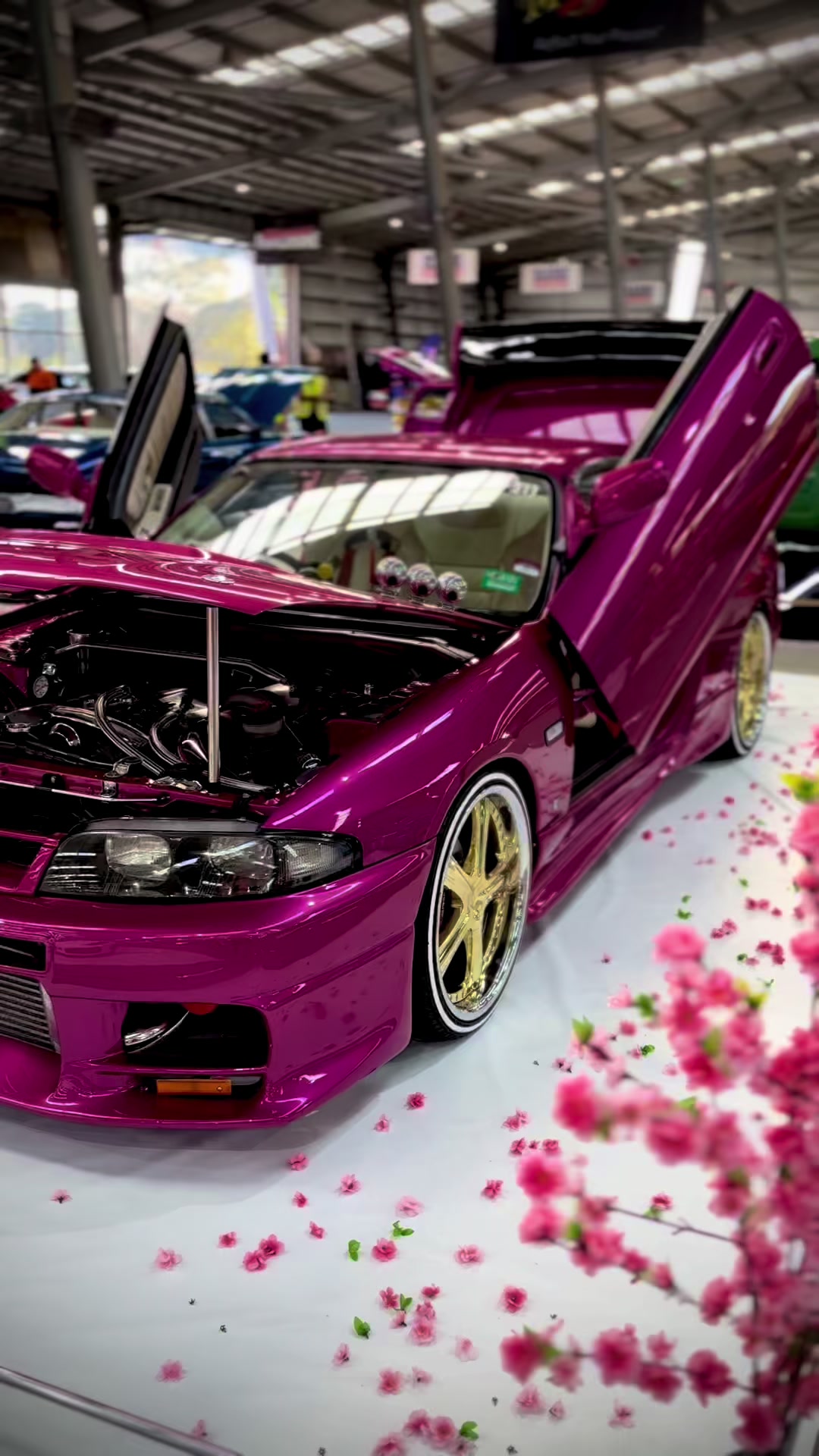 @Team Dragon Motorsport™️