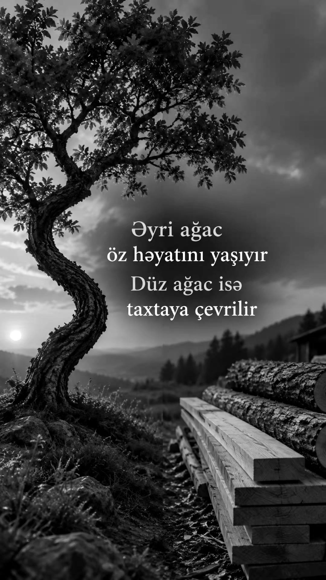 @Müdrik Kəlamlar