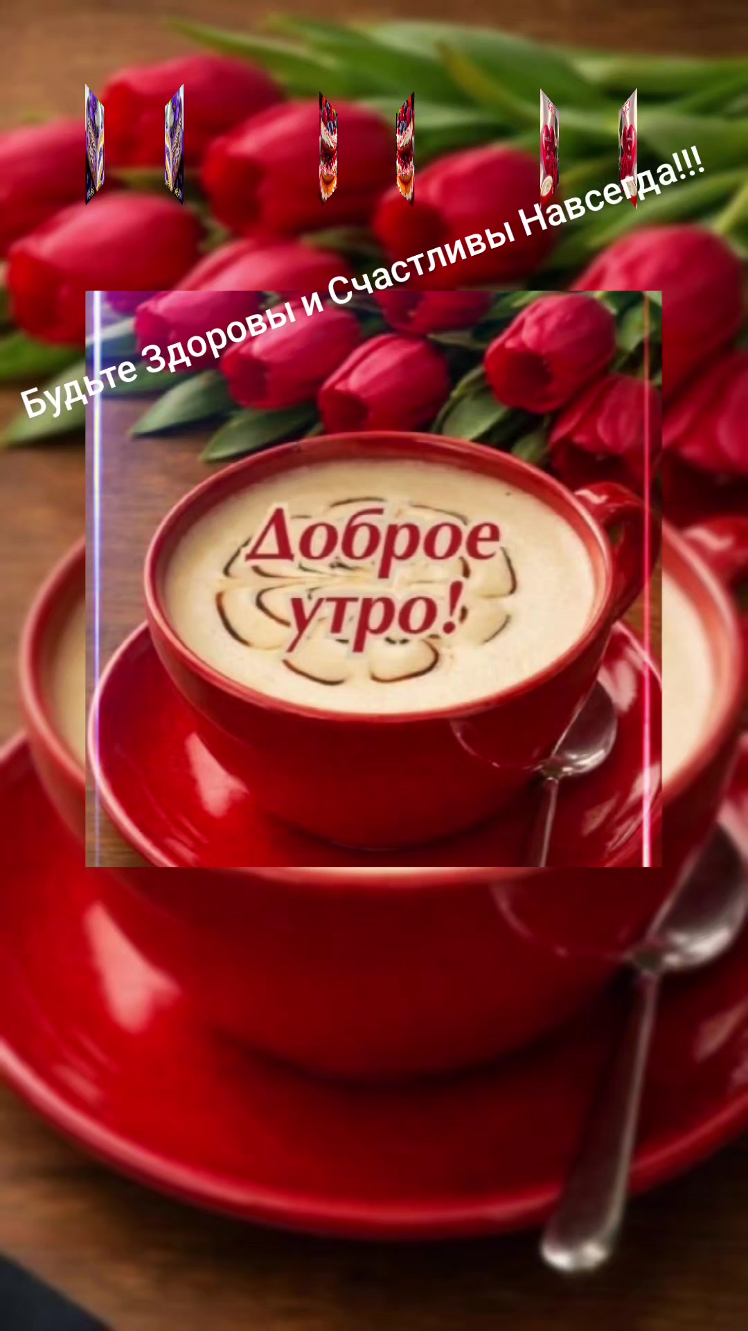 @zulfimysaivna