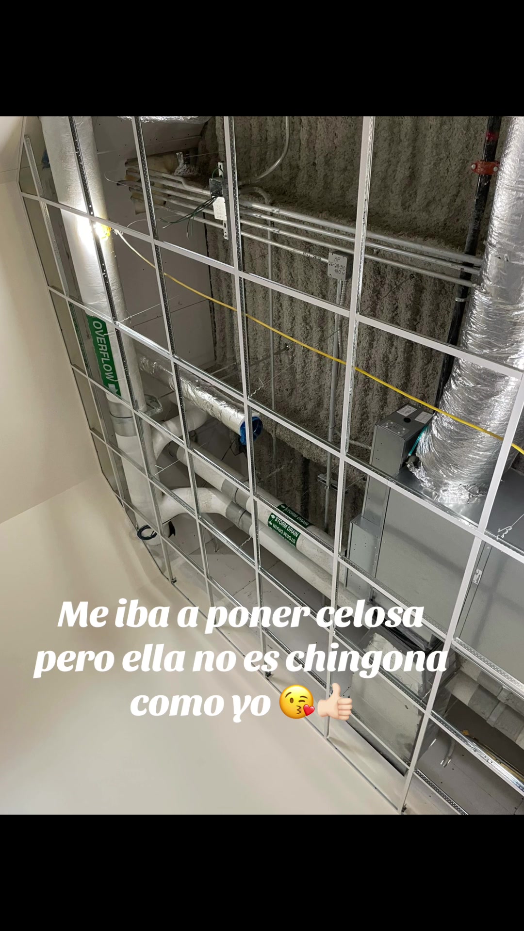 @Andrea Mejia
