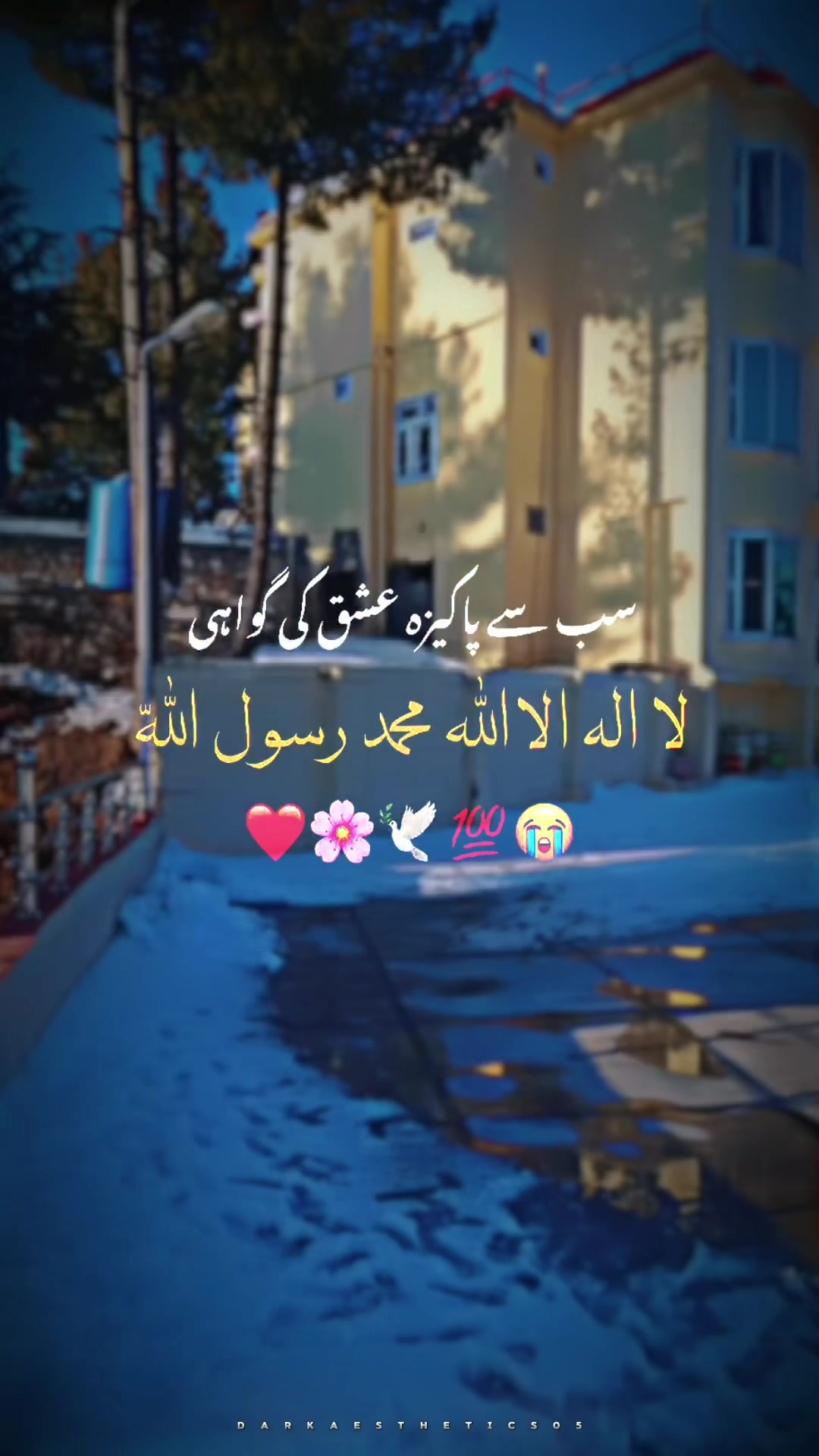@𝙎𝓪𝓳𝓲𝓭 𝙠𝓱𝓪𝓷✅