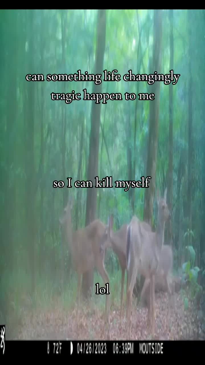 @meruem