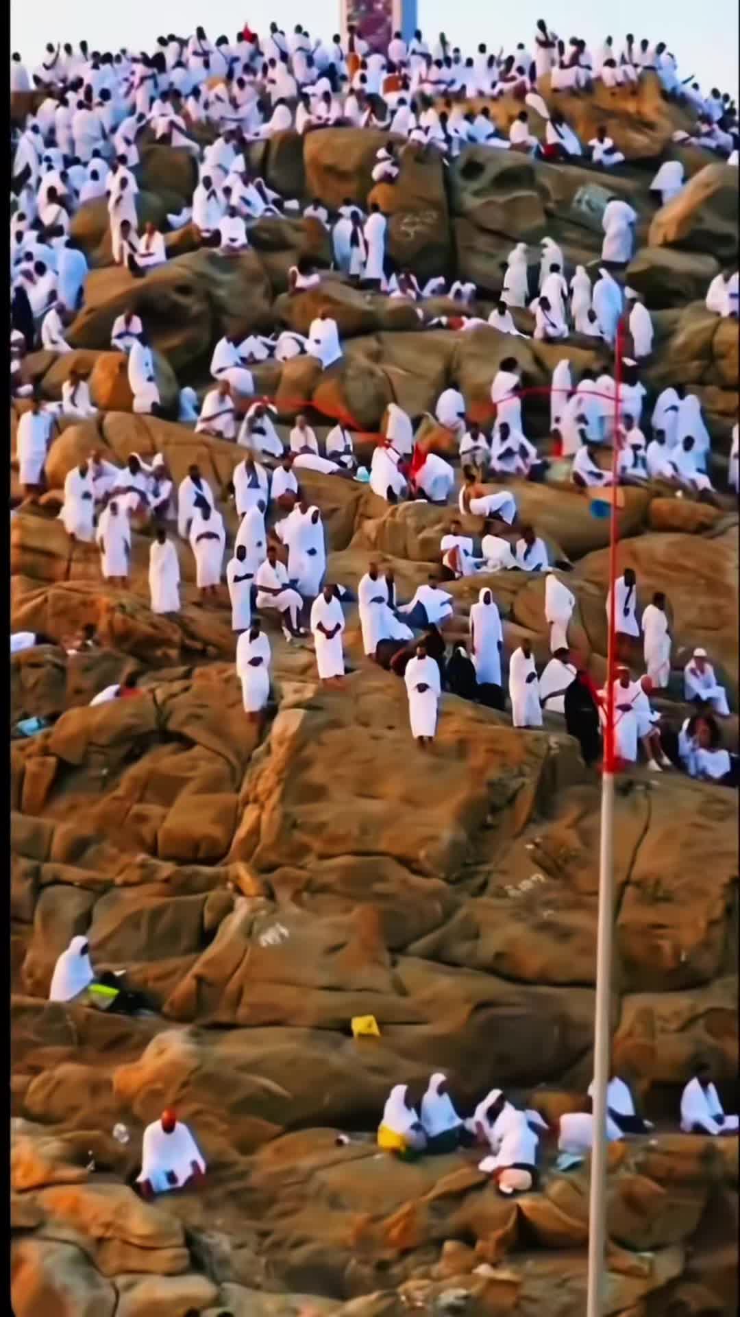 @زهرة R&Z