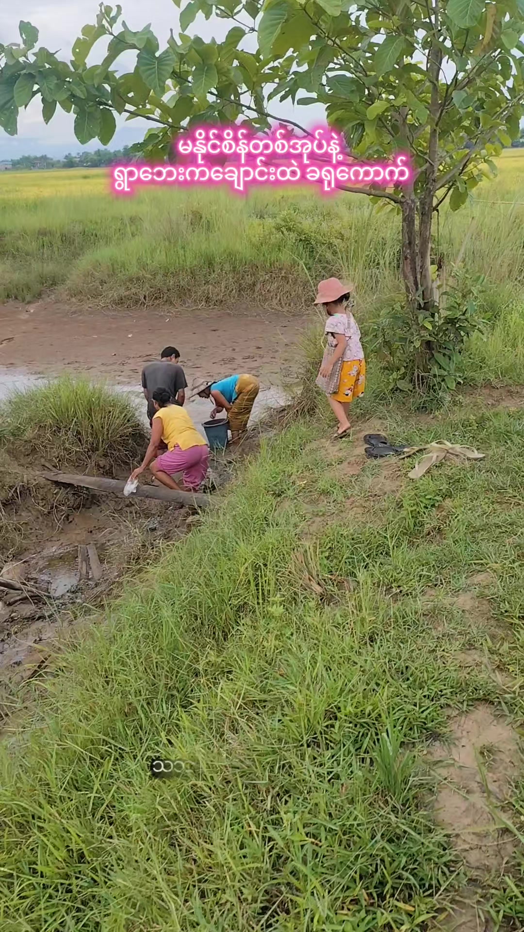 @🇲🇲နောင်လေး🇲🇲 ( TAUNGOO )
