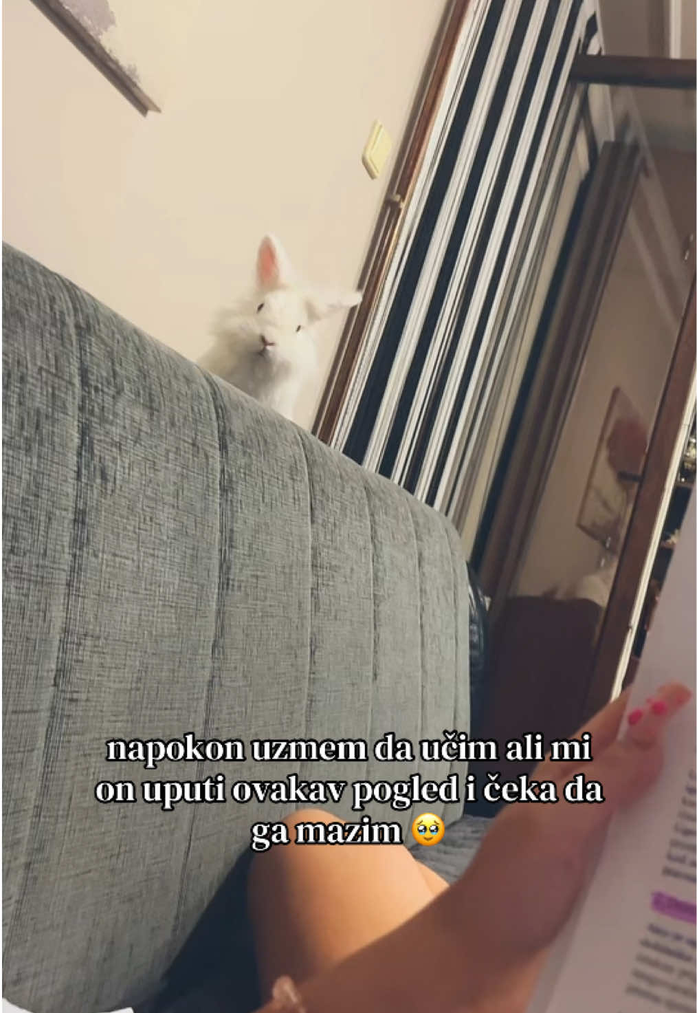 @kaćaa🥥