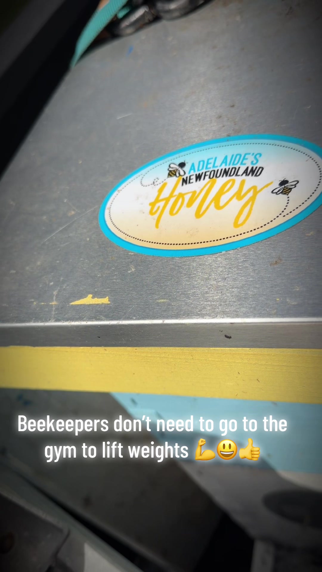 @NaturalBeekeeperNL 🐝🇨🇦
