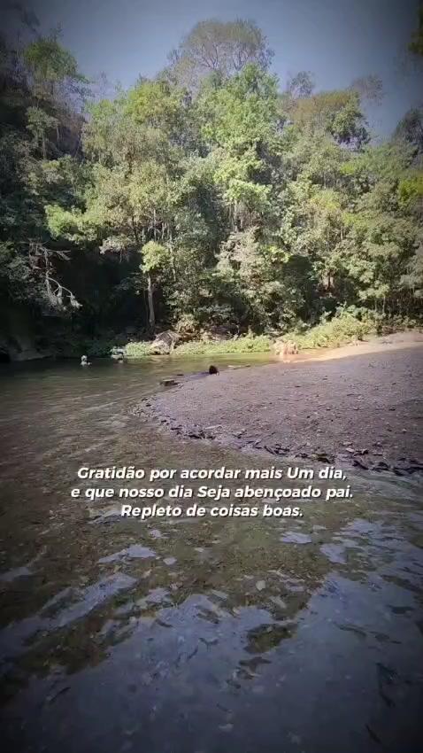 @Dani Gon&ccedil;alves