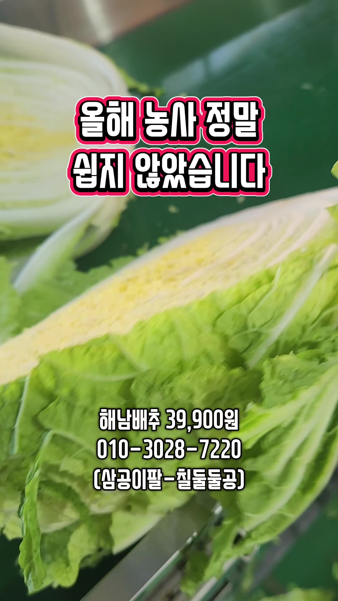 @인생먹거리
