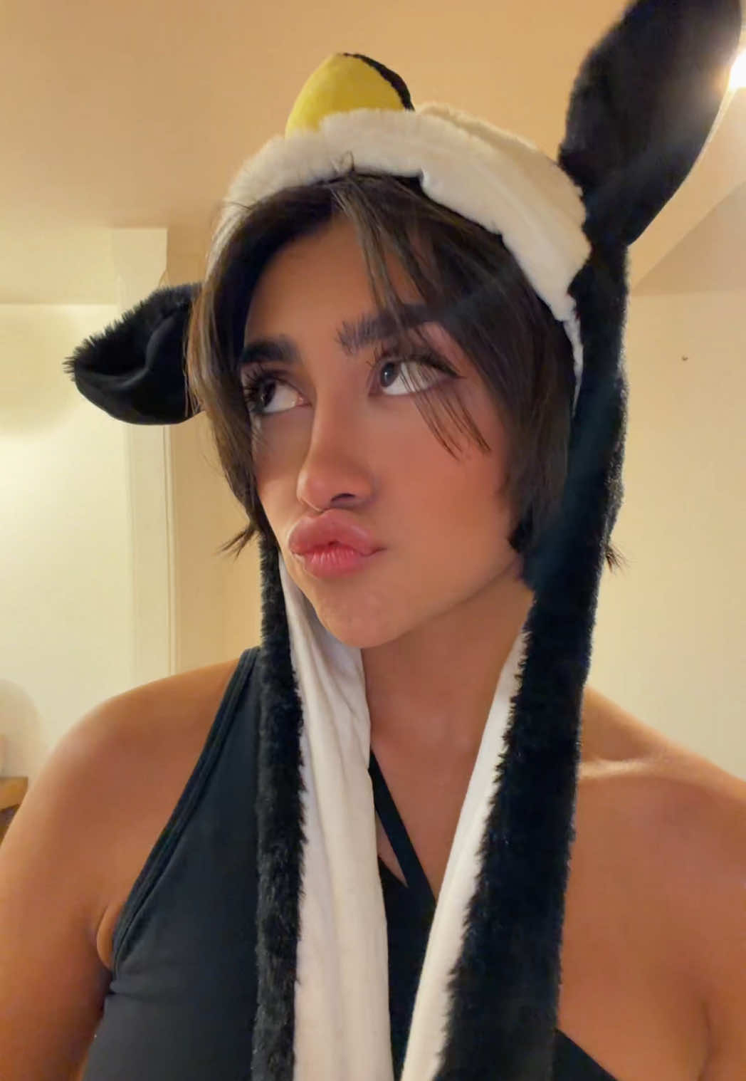 @Avisa