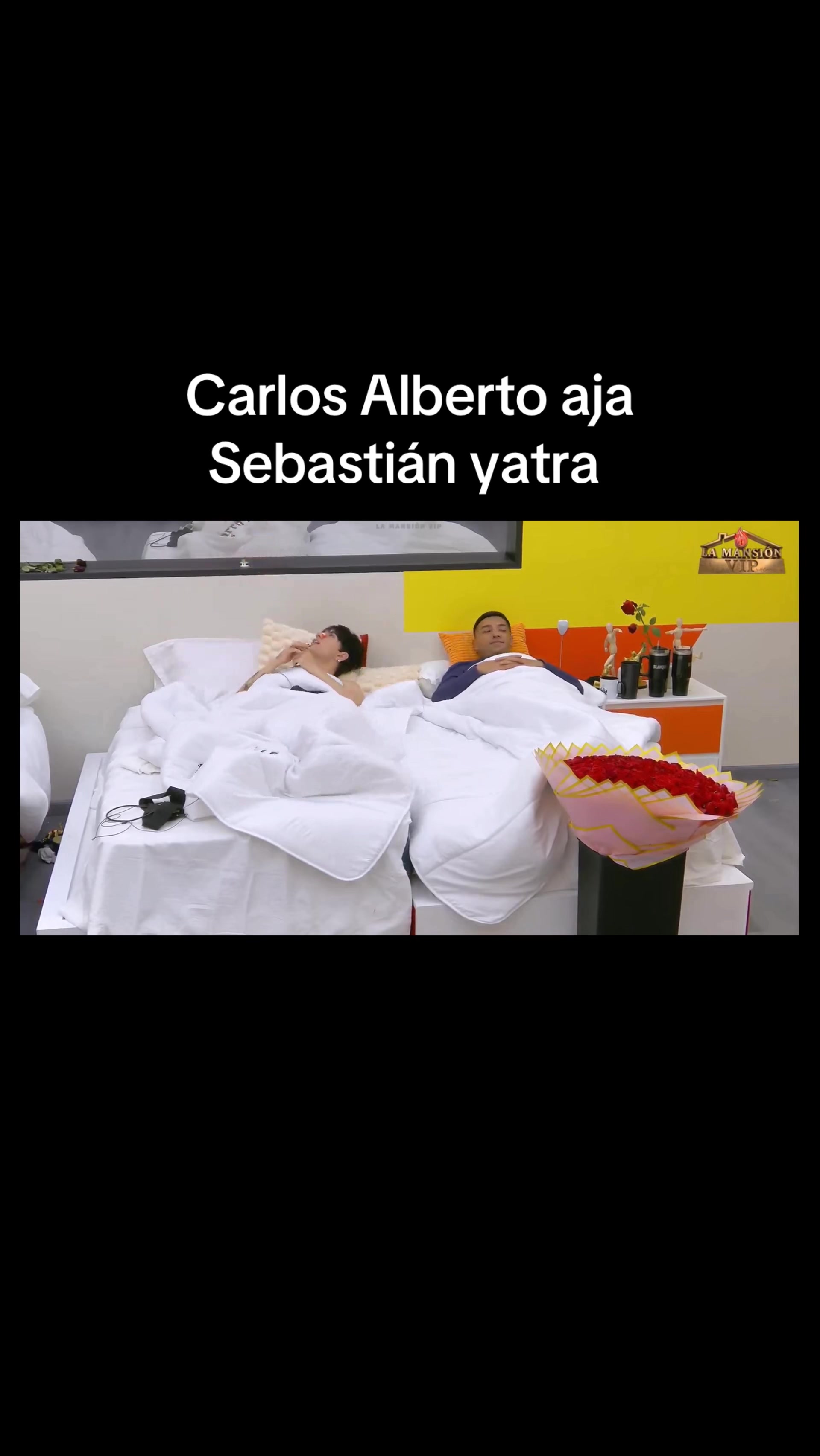 @Salvitatvoficial