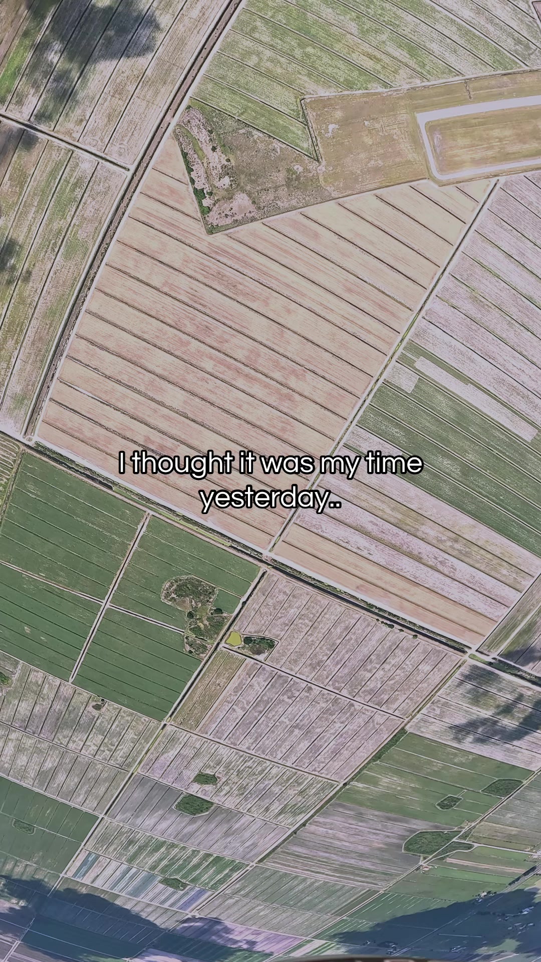 @Mj