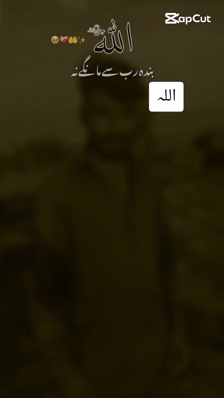@SHAN ALI 7985