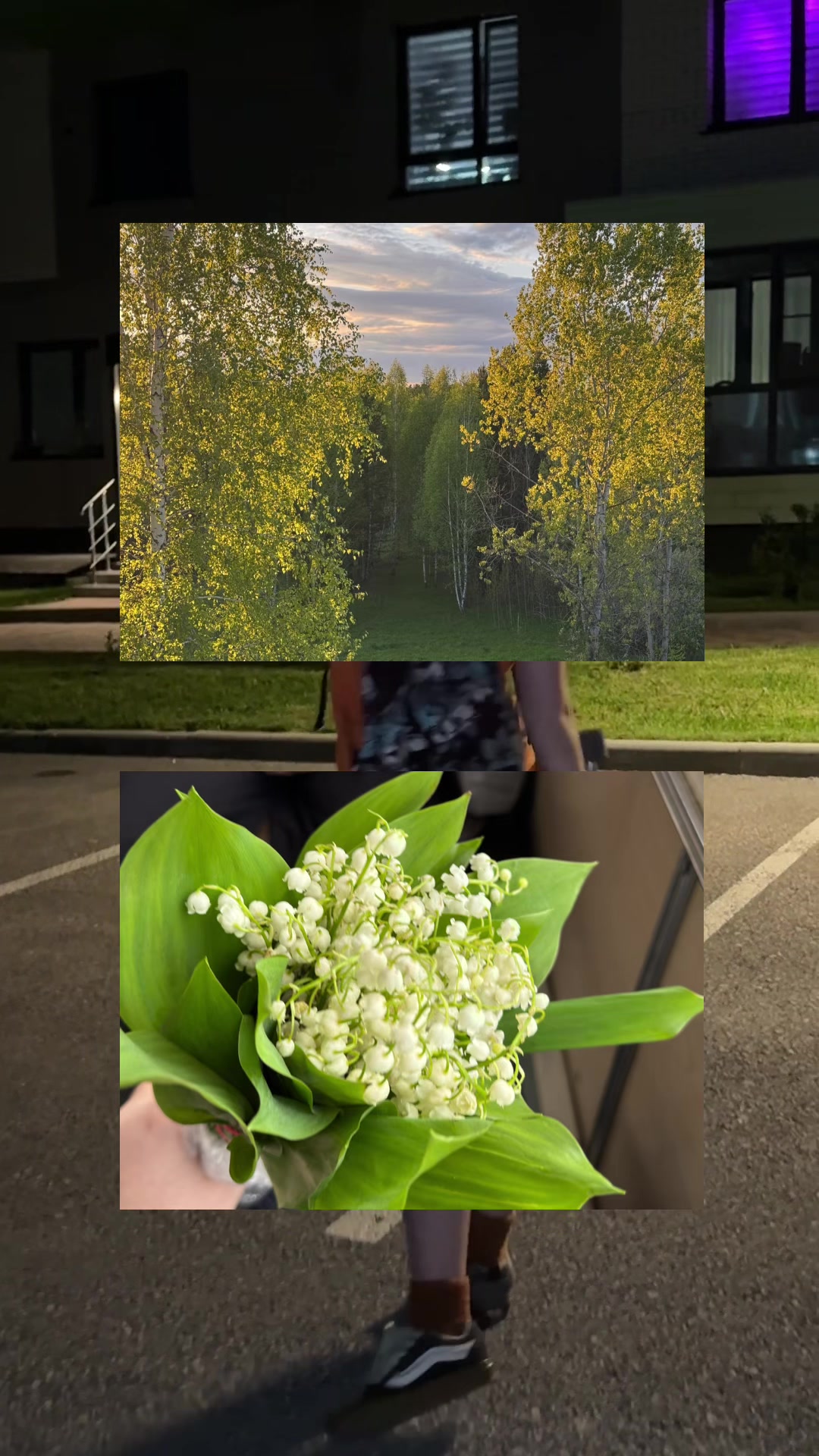 @ринали