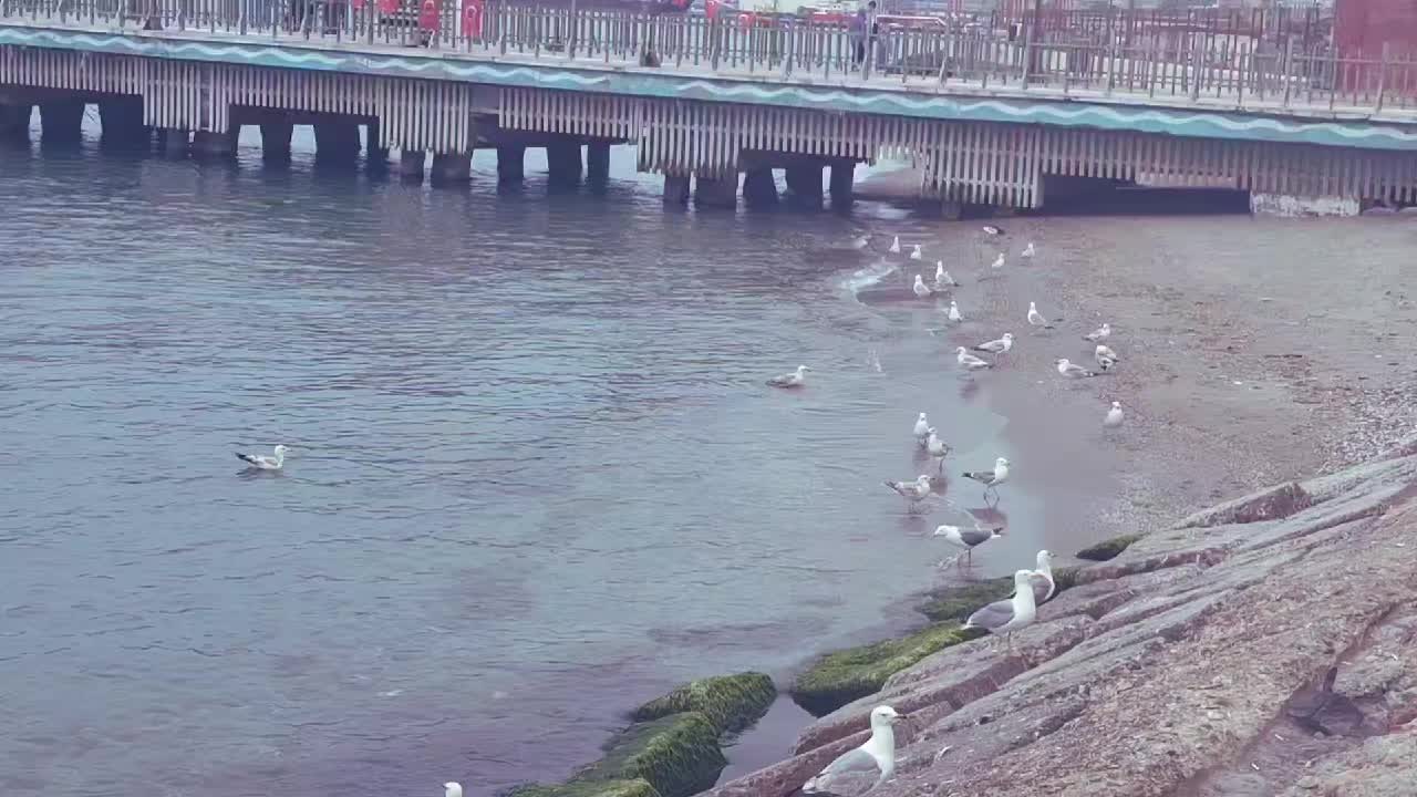 @Erdem Yavuz