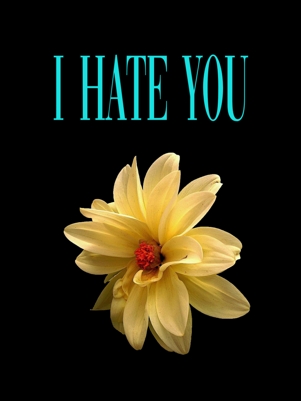 @KURTLYRIC