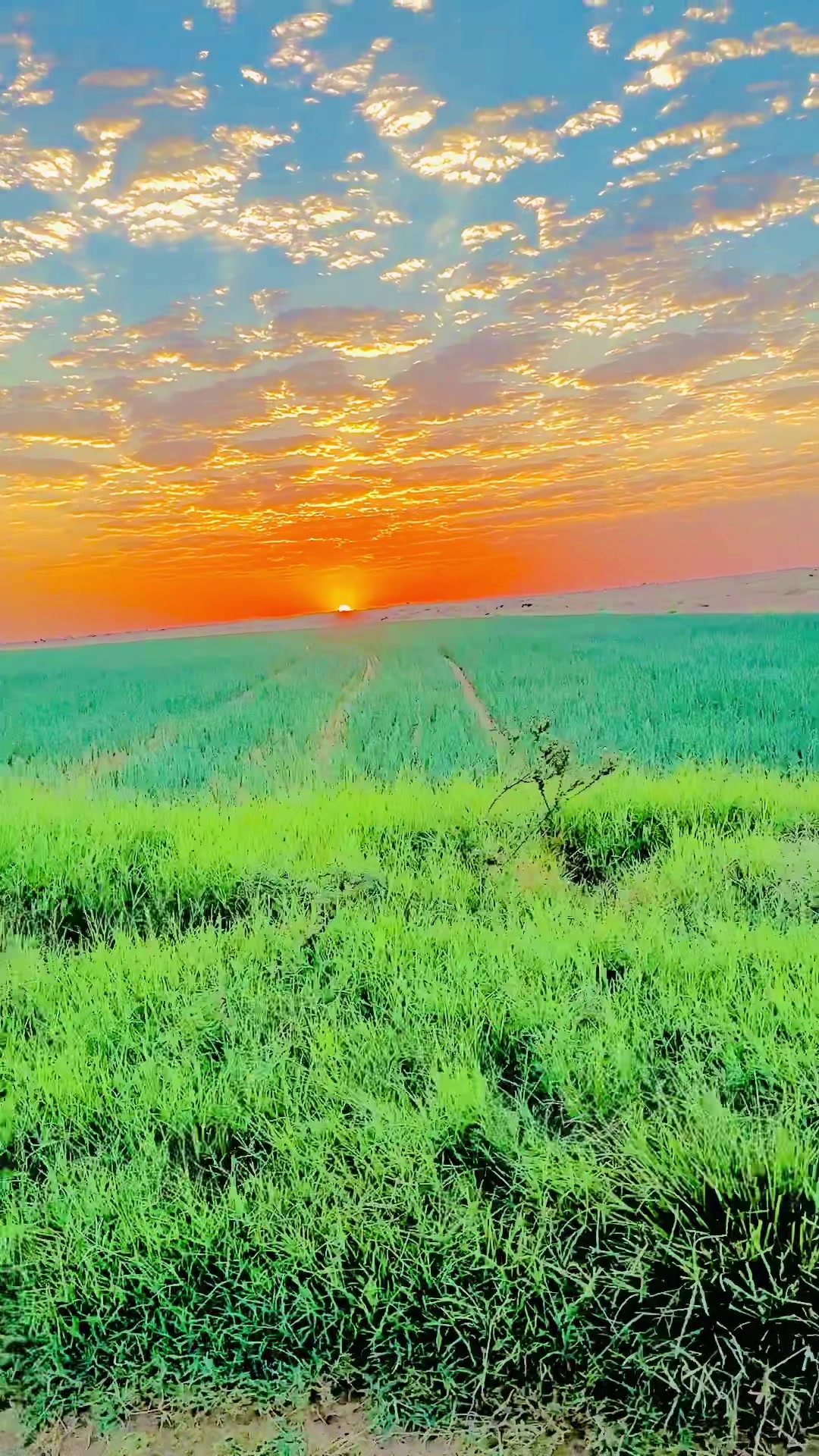 @Abubakkar Siddik🇧🇩🇸🇦