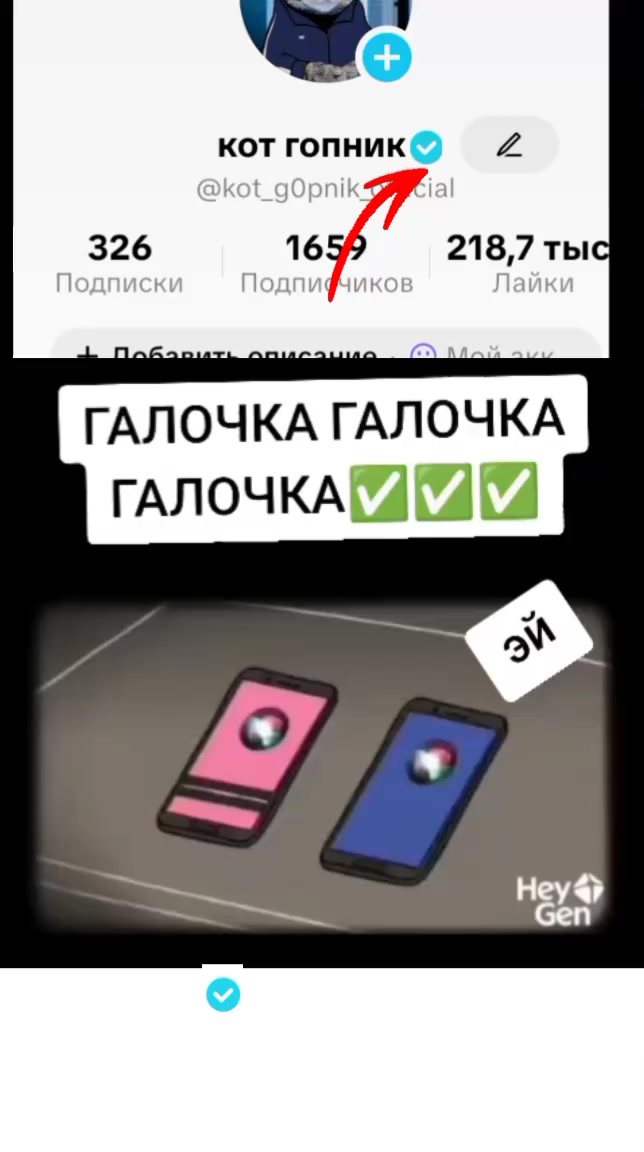 @кот гопник