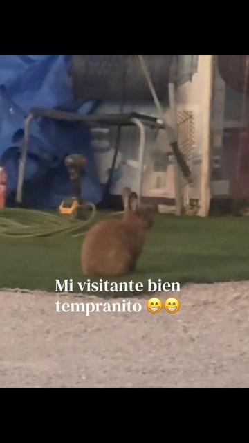@Mi_nani77