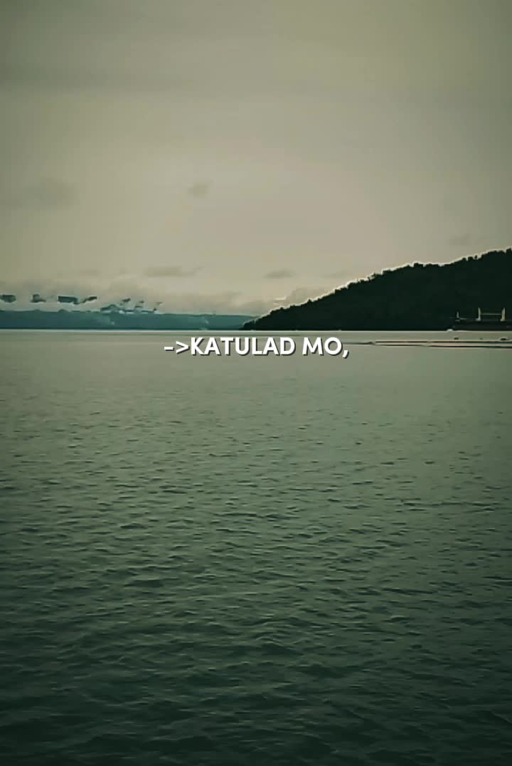 @Mr. V⚓