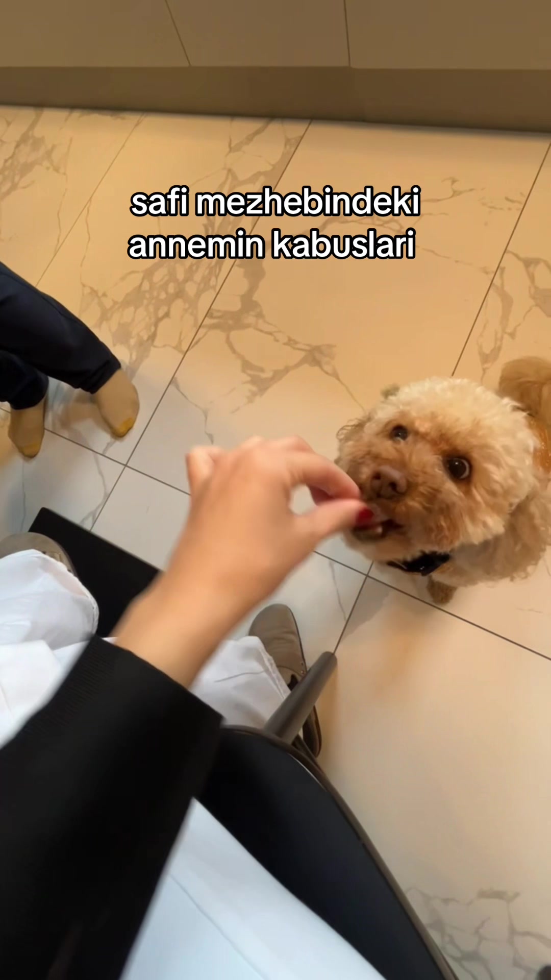 @ceysu