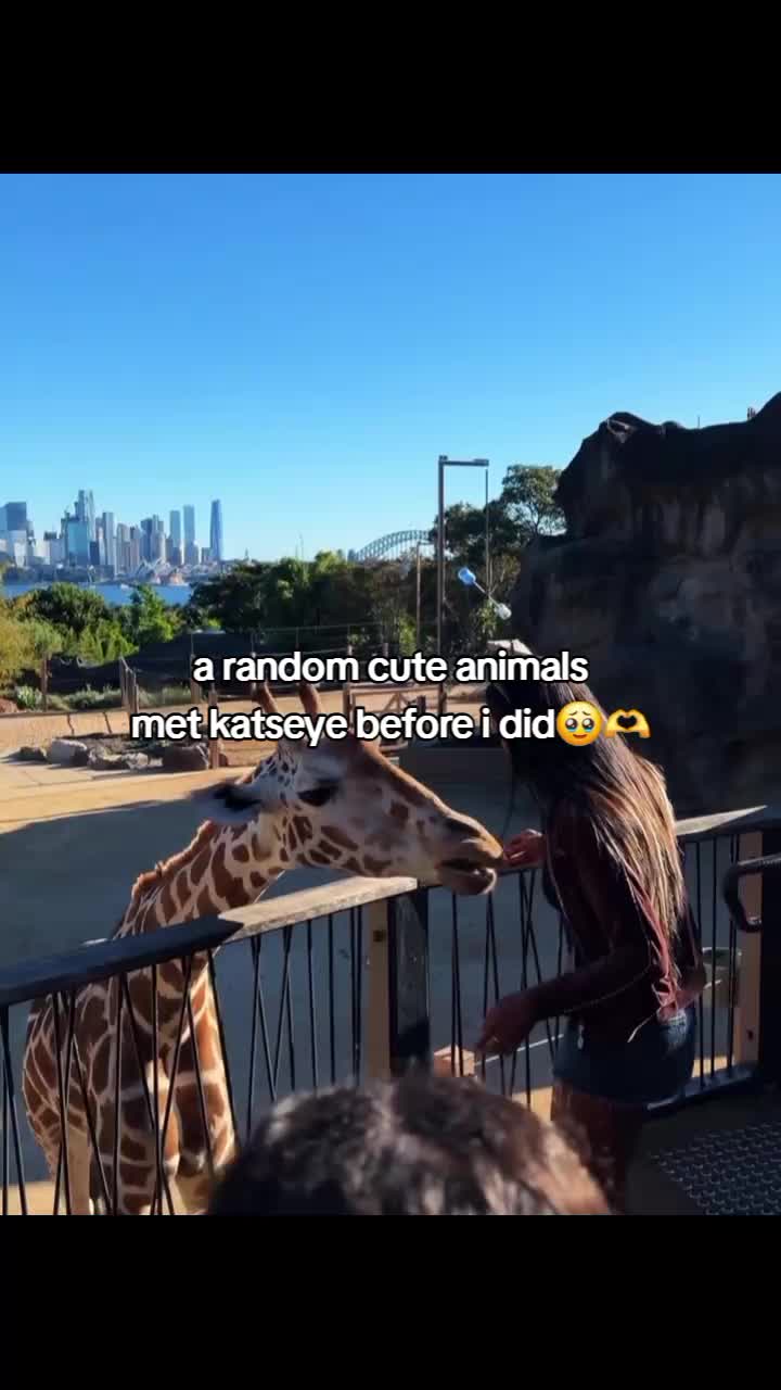 @Katikonz