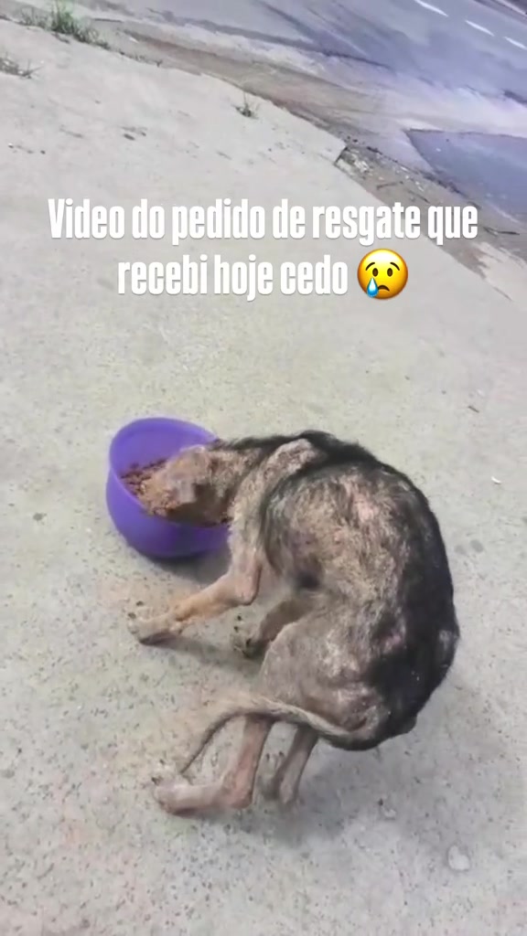 @julinhocasares