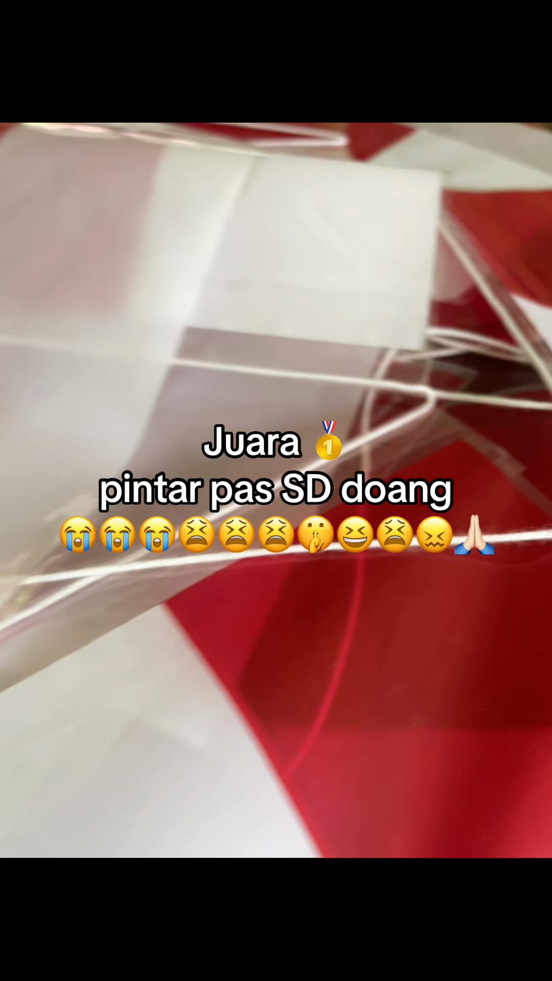 @adelard praudista 💃🕺🏻👜🔮