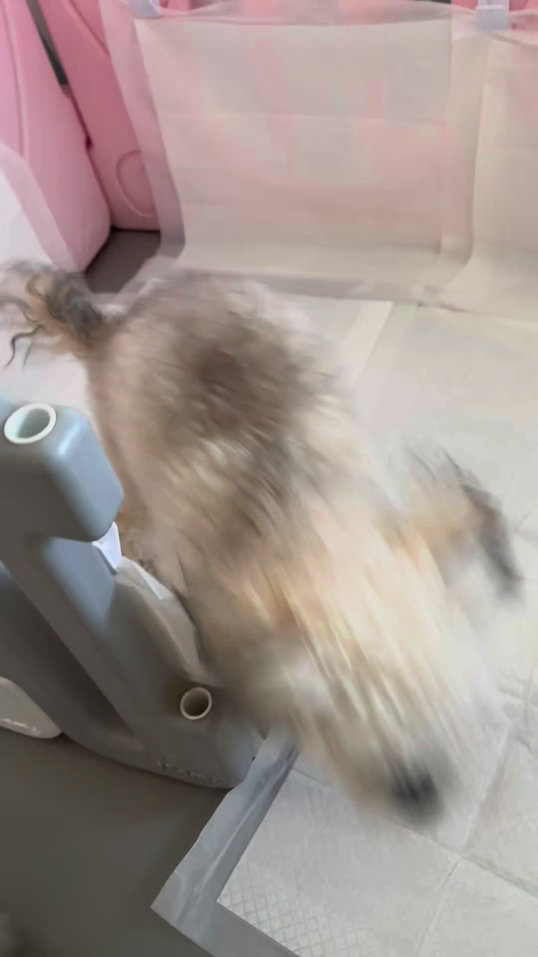 @토토엄마