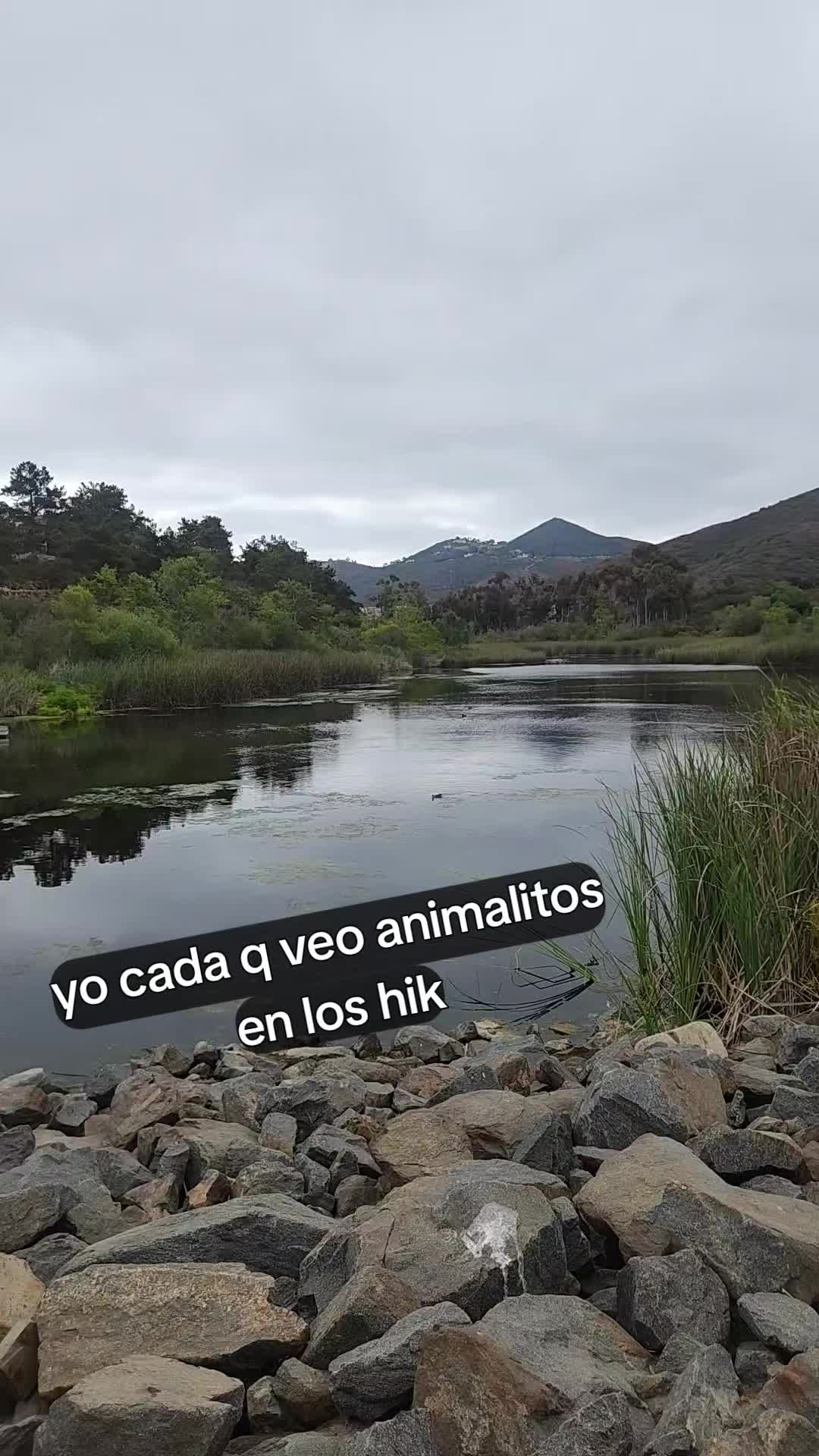 @Veronica Celis Uribe