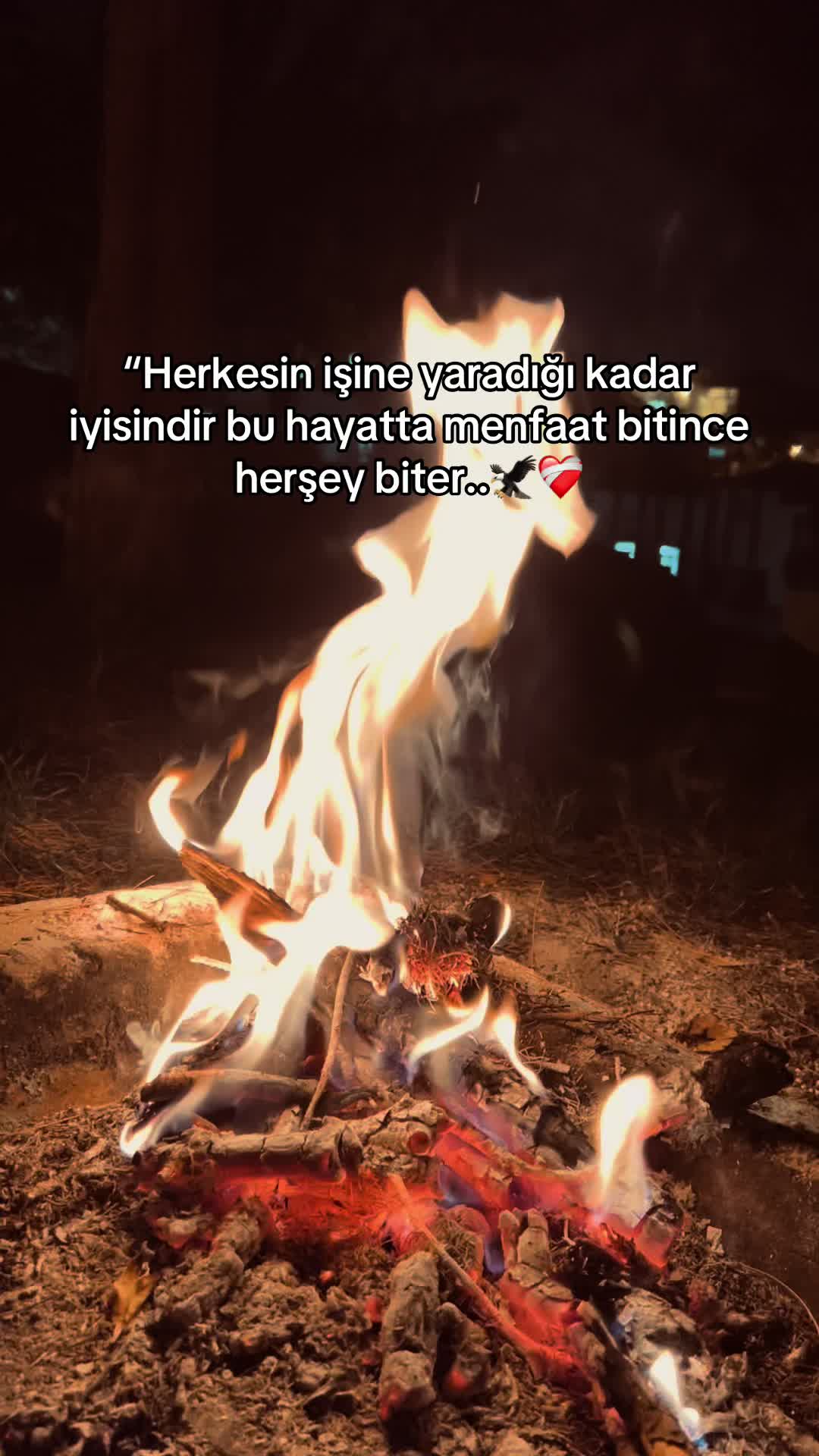 @✯𝓒𝓐𝓷𝓝 𝓢𝓮𝓡𝓸✯